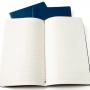 Блокнот Moleskine CAHIER JOURNAL XLarge 190 х 250 мм обложка картон 120 стр. линейка синий индиго (3шт)